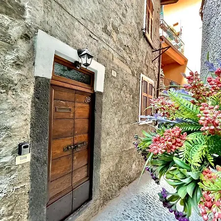 Lg - Boutique And - *