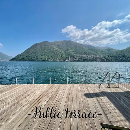 Lg - Boutique And - *